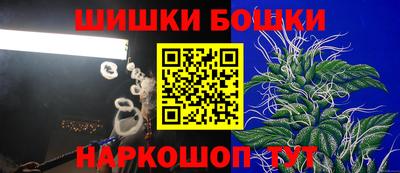 крисы Лесосибирск