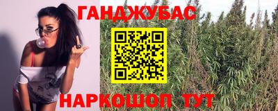 крисы Лесосибирск