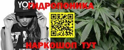 крисы Лесосибирск